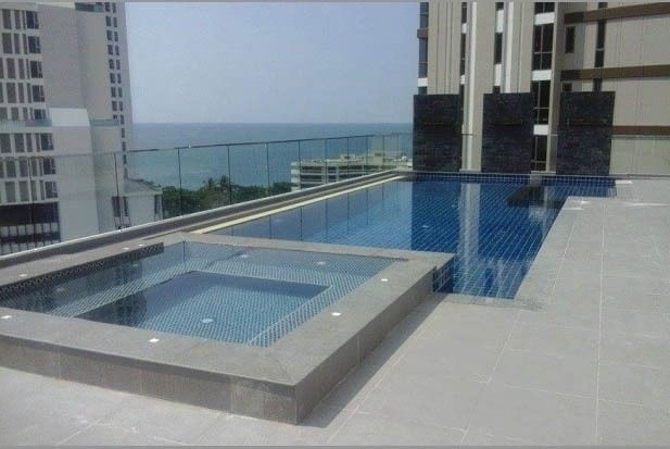 Serenity Wongamat - Studio Unit For Sale - คอนโด - Wong Amat Beach - 